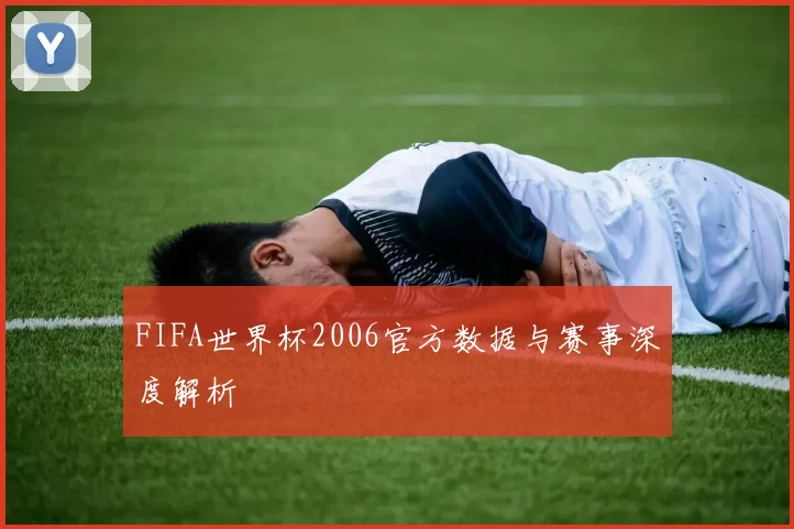 FIFA世界杯2006官方数据与赛事深度解析