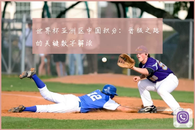 世界杯亚洲区中国积分：晋级之路的关键数字解读