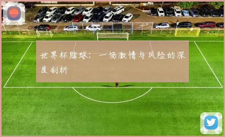 世界杯赌球：一场激情与风险的深度剖析