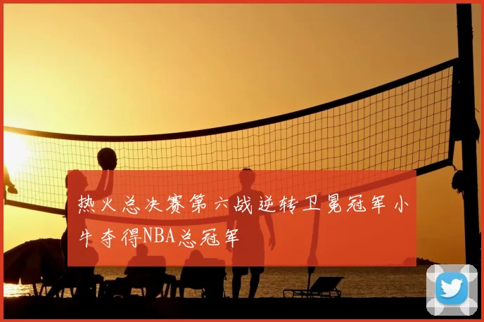 热火总决赛第六战逆转卫冕冠军小牛夺得NBA总冠军