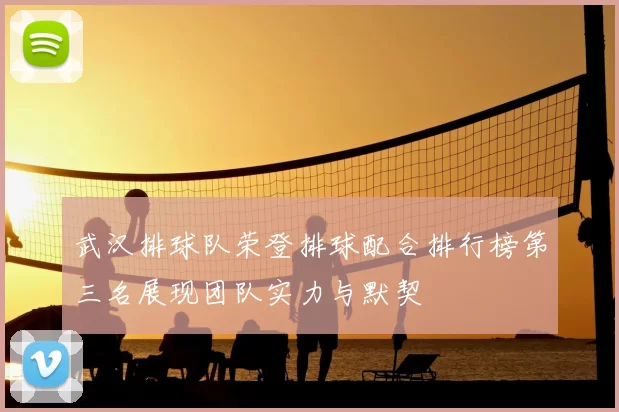 武汉排球队荣登排球配合排行榜第三名展现团队实力与默契