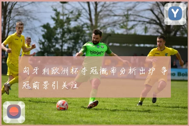 匈牙利欧洲杯夺冠概率分析出炉 争冠前景引关注