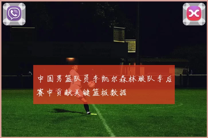 中国男篮队员李凯尔森林狼队季后赛中贡献关键篮板数据