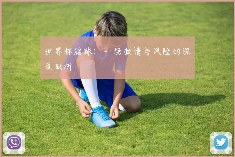 世界杯赌球：一场激情与风险的深度剖析
