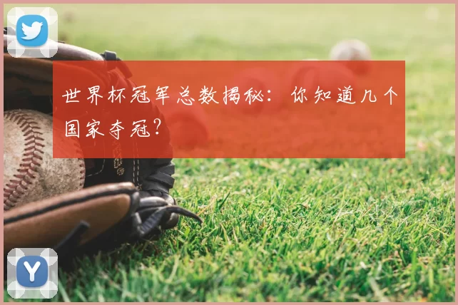 世界杯冠军总数揭秘:你知道几个国家夺冠?
