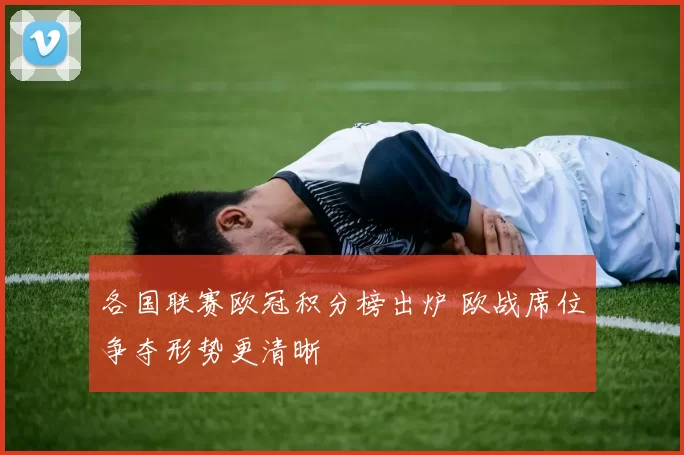 各国联赛欧冠积分榜出炉 欧战席位争夺形势更清晰