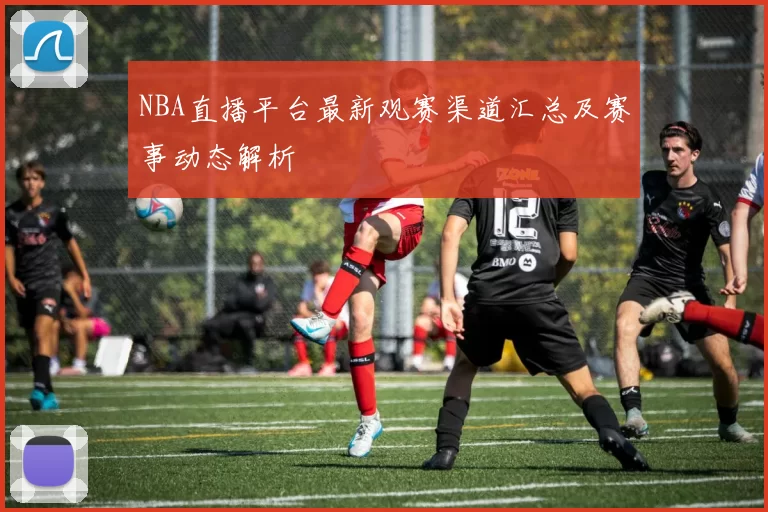 NBA直播平台最新观赛渠道汇总及赛事动态解析