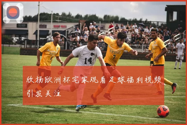 欣杨欧洲杯宅家观看足球福利视频引发关注