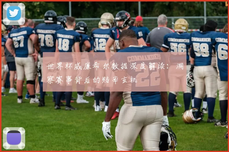 世界杯威廉希尔数据深度解读：洞察赛事背后的赔率玄机