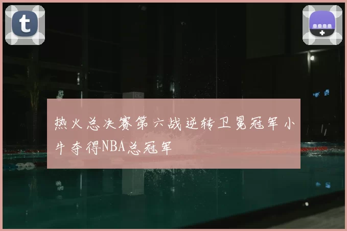 热火总决赛第六战逆转卫冕冠军小牛夺得NBA总冠军