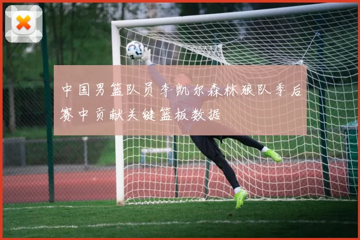 中国男篮队员李凯尔森林狼队季后赛中贡献关键篮板数据