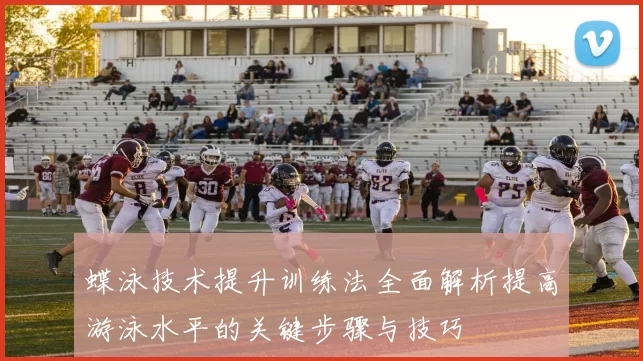 蝶泳技术提升训练法全面解析提高游泳水平的关键步骤与技巧